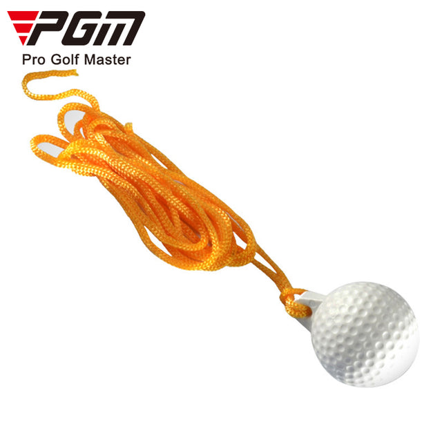 Mini Golf Swing Trainer/Mat