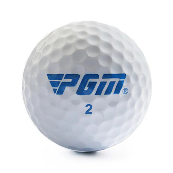 GOLF Professional Competition Two Layers Ball Q022