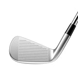 P790 Graphite Irons (4-P)