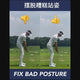 Resistance Bands Golf Warm Up Activation Training Aid Gym Exercise Workout